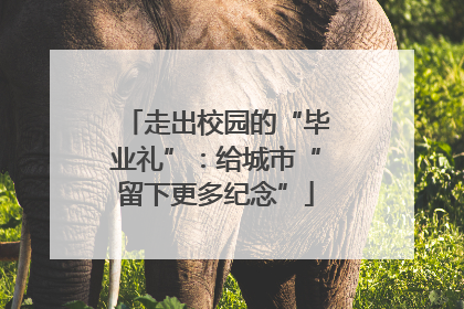 走出校园的“毕业礼”：给城市“留下更多纪念”