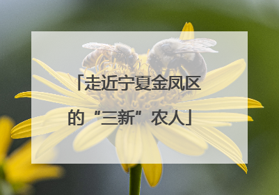 走近宁夏金凤区的“三新”农人