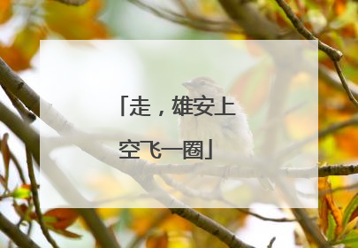 走，雄安上空飞一圈