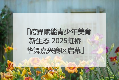 跨界赋能青少年美育新生态 2025虹桥华舞嘉兴赛区启幕