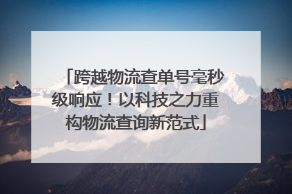 跨越物流查单号毫秒级响应！以科技之力重构物流查询新范式