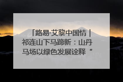 路易·艾黎中国情｜祁连山下马蹄新：山丹马场以绿色发展诠释“两山”理论实践