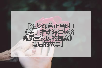 逐梦深蓝正当时！《关于推动海洋经济高质量发展的提案》背后的故事