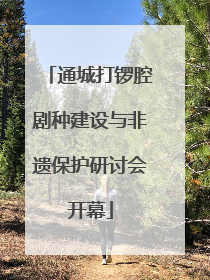 通城打锣腔剧种建设与非遗保护研讨会开幕