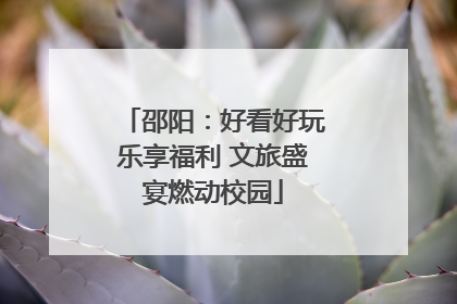 邵阳：好看好玩乐享福利 文旅盛宴燃动校园