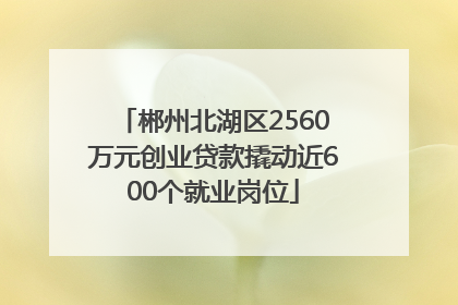 郴州北湖区2560万元创业贷款撬动近600个就业岗位