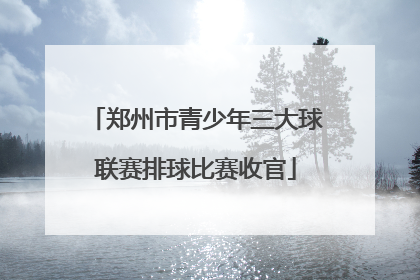 郑州市青少年三大球联赛排球比赛收官