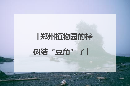 郑州植物园的梓树结“豆角”了