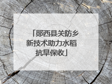 郧西县关防乡新技术助力水稻抗旱保收
