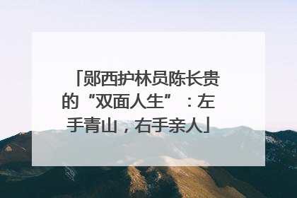 郧西护林员陈长贵的“双面人生”：左手青山，右手亲人