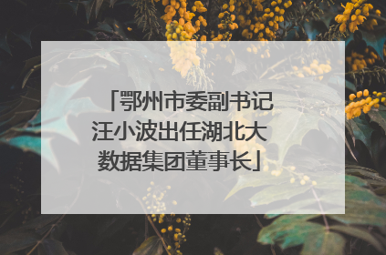 鄂州市委副书记汪小波出任湖北大数据集团董事长