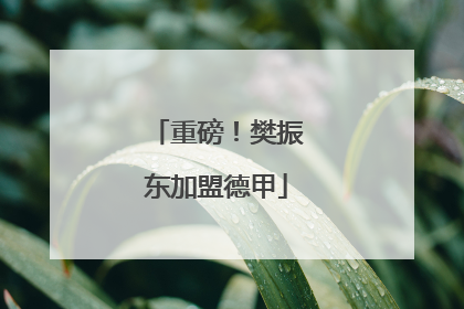 重磅！樊振东加盟德甲