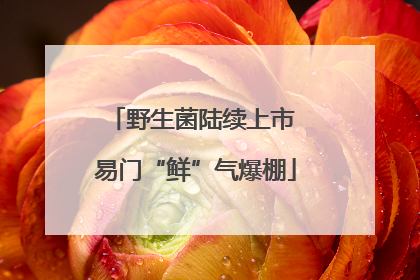 野生菌陆续上市 易门“鲜”气爆棚