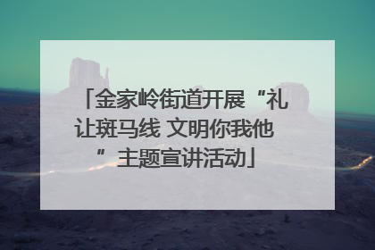 金家岭街道开展“礼让斑马线 文明你我他”主题宣讲活动