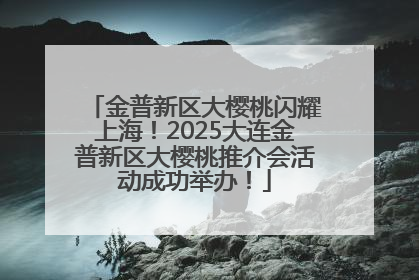 金普新区大樱桃闪耀上海！2025大连金普新区大樱桃推介会活动成功举办！