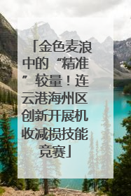 金色麦浪中的“精准”较量！连云港海州区创新开展机收减损技能竞赛