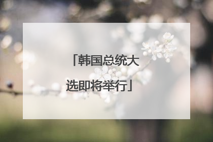 韩国总统大选即将举行