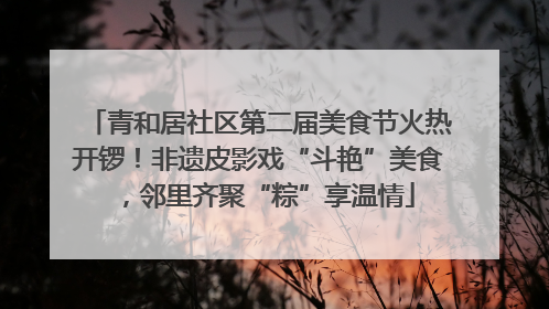 青和居社区第二届美食节火热开锣！非遗皮影戏“斗艳”美食，邻里齐聚“粽”享温情