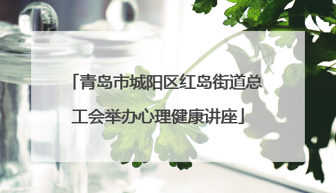 青岛市城阳区红岛街道总工会举办心理健康讲座