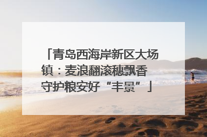 青岛西海岸新区大场镇：麦浪翻滚穗飘香 守护粮安好“丰景”