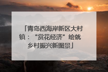 青岛西海岸新区大村镇：“赏花经济”绘就乡村振兴新图景