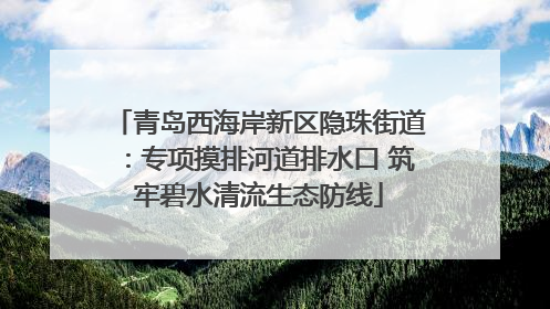 青岛西海岸新区隐珠街道：专项摸排河道排水口 筑牢碧水清流生态防线