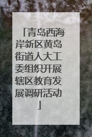 青岛西海岸新区黄岛街道人大工委组织开展辖区教育发展调研活动