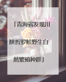 青海省发现川陕哲罗鲑野生自然繁殖种群