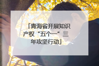 青海省开展知识产权“五个一”三年攻坚行动
