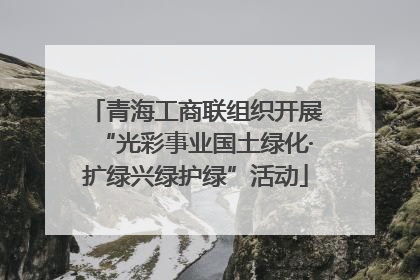 青海工商联组织开展“光彩事业国土绿化·扩绿兴绿护绿”活动