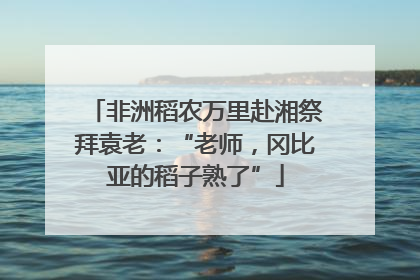 非洲稻农万里赴湘祭拜袁老：“老师，冈比亚的稻子熟了”