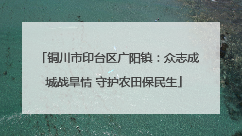 铜川市印台区广阳镇：众志成城战旱情 守护农田保民生
