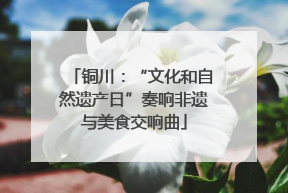 铜川：“文化和自然遗产日”奏响非遗与美食交响曲