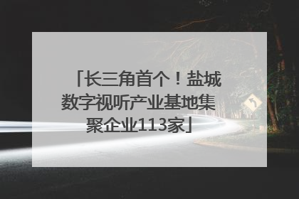 长三角首个！盐城数字视听产业基地集聚企业113家