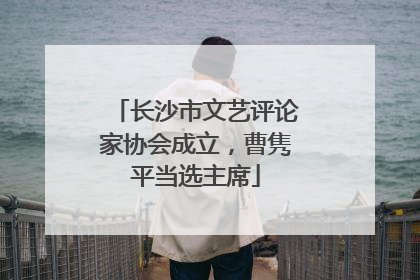 长沙市文艺评论家协会成立，曹隽平当选主席