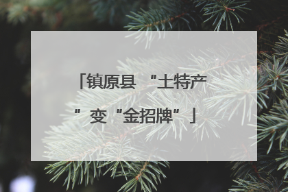 镇原县 “土特产”变“金招牌”