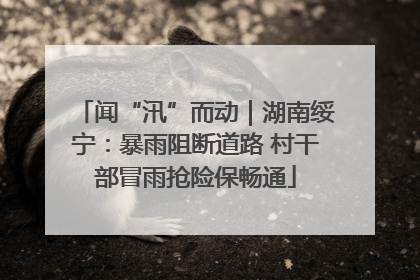 闻“汛”而动｜湖南绥宁：暴雨阻断道路 村干部冒雨抢险保畅通