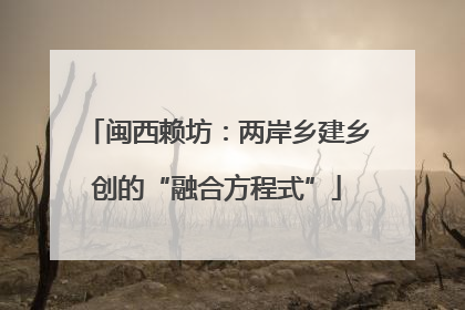 闽西赖坊：两岸乡建乡创的“融合方程式”
