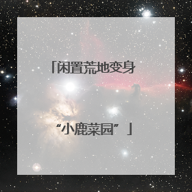 闲置荒地变身“小鹿菜园”
