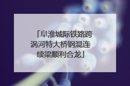 阜淮城际铁路跨涡河特大桥钢混连续梁顺利合龙