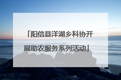 阳信县洋湖乡科协开展助农服务系列活动