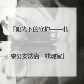 阳光下的守护——北京公安法治一线观察