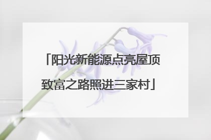 阳光新能源点亮屋顶 致富之路照进三家村
