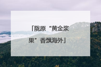 陇原“黄金浆果”香飘海外