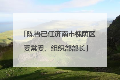 陈鲁已任济南市槐荫区委常委、组织部部长