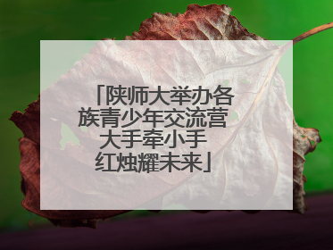 陕师大举办各族青少年交流营 大手牵小手 红烛耀未来