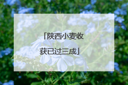 陕西小麦收获已过三成