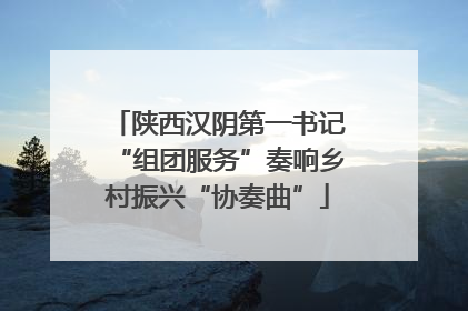 陕西汉阴第一书记“组团服务”奏响乡村振兴“协奏曲”