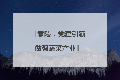 零陵：党建引领 做强蔬菜产业