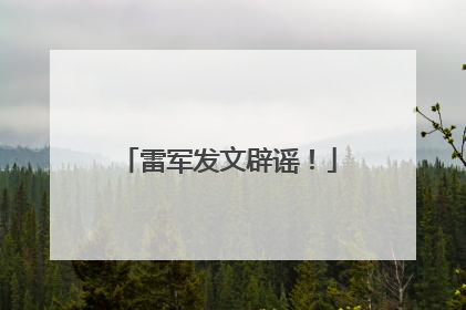 雷军发文辟谣！